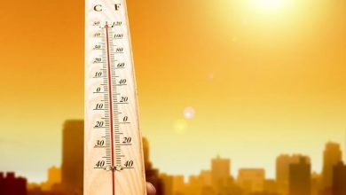 الأرصاد تعلن تفاصيل طقس اليوم السبت ودرجات الحرارة اليوم في مصر
