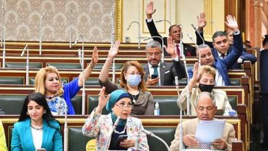 البرلمان المصري يوافق على قرض بـ25 مليار ين ياباني