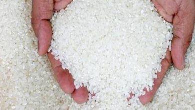 قفزة جديدة بأسعار الأرز في مصر