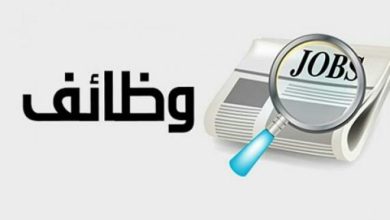 محافظة الجيزة تعلن عن وظائف خالية.. إليكم تفاصيلها