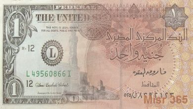 الجنيه المصري يواصل سقوطه أمام الدولار مع ارتفاع تكلفة التأمين على الديون المصرية لأجل 5 سنوات