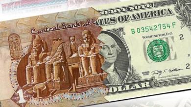 محلل اقتصادي يوضح مصير الجنيه أمام الدولار خلال الأيام القادمة