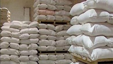قرارات عاجلة من الحكومة ضد محتكري الأرز