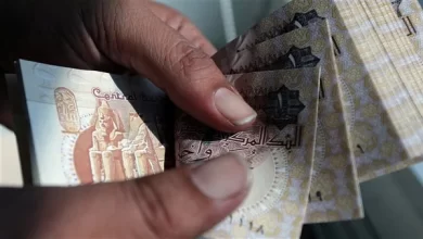 المركزي الروسي يعتمد الجنيه المصري ضمن قائمة العملات الرئيسية