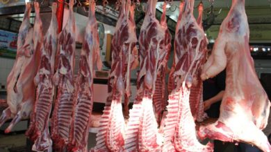 تعرف على أسعار وأنواع اللحوم المتوفرة في معارض "أهلًا رمضان"