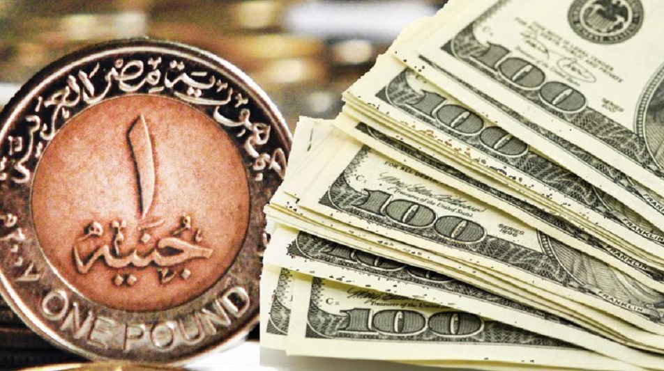 كيف تحولت مضاربات الدولار في مصر إلى خسائر حادة؟.. تقرير يجيب!