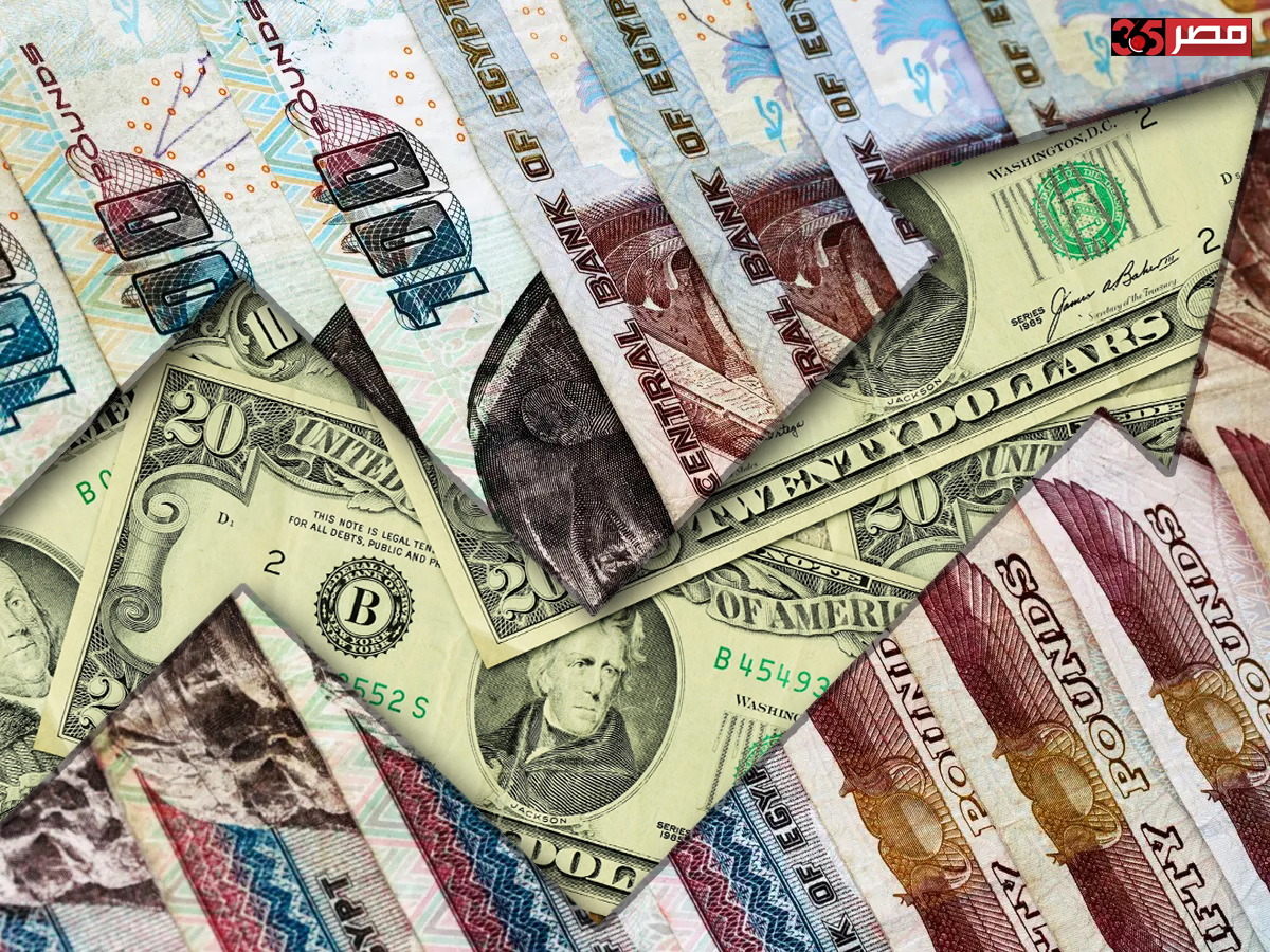 توقعات سعر الدولار.. حدوث تعويم جديد للجنيه في مصر