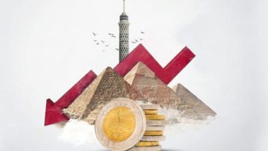فيتش تخفض تصنيف مصر الائتماني وتوقعات هامه لسعر الدولار