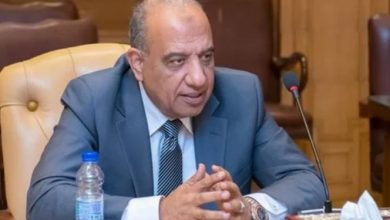 وزير قطاع الأعمال يكشف مصير السيارة الكهربائية مصرية الصنع